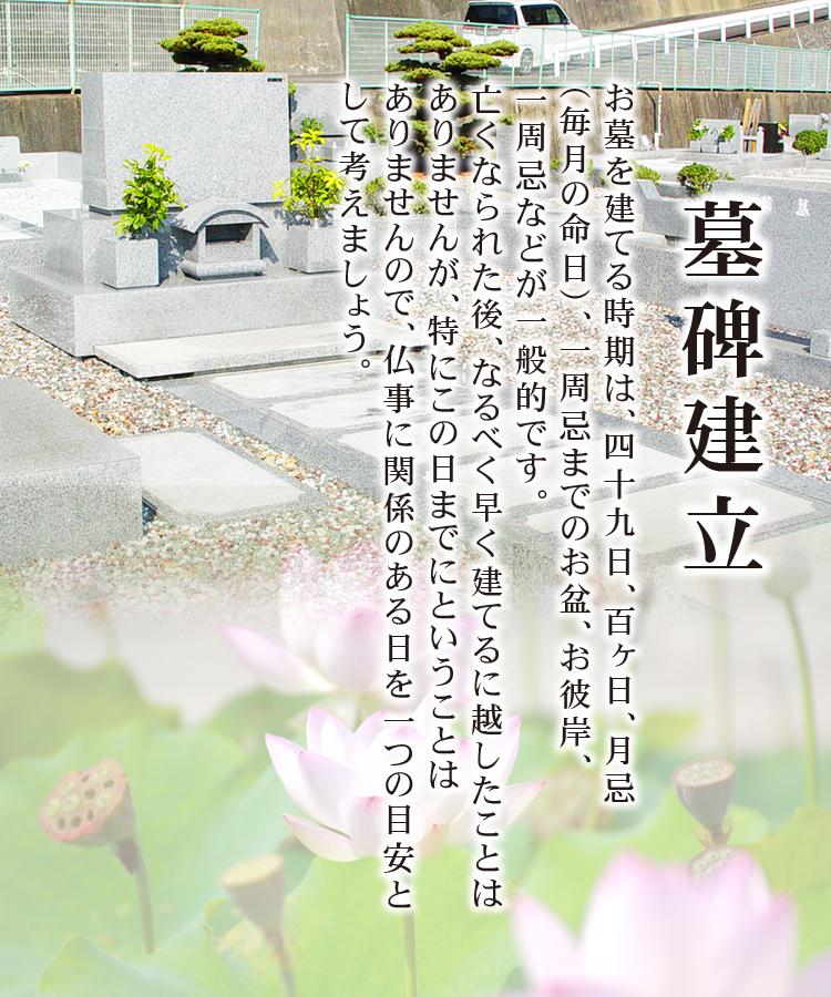 wp-image-206
