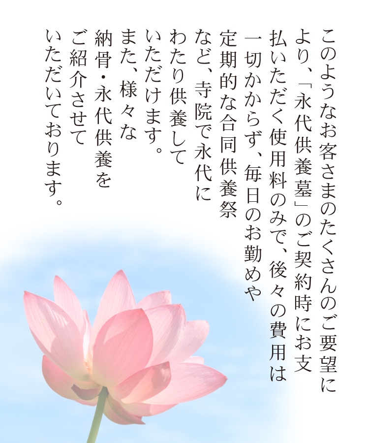 wp-image-206