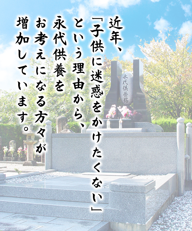 wp-image-206