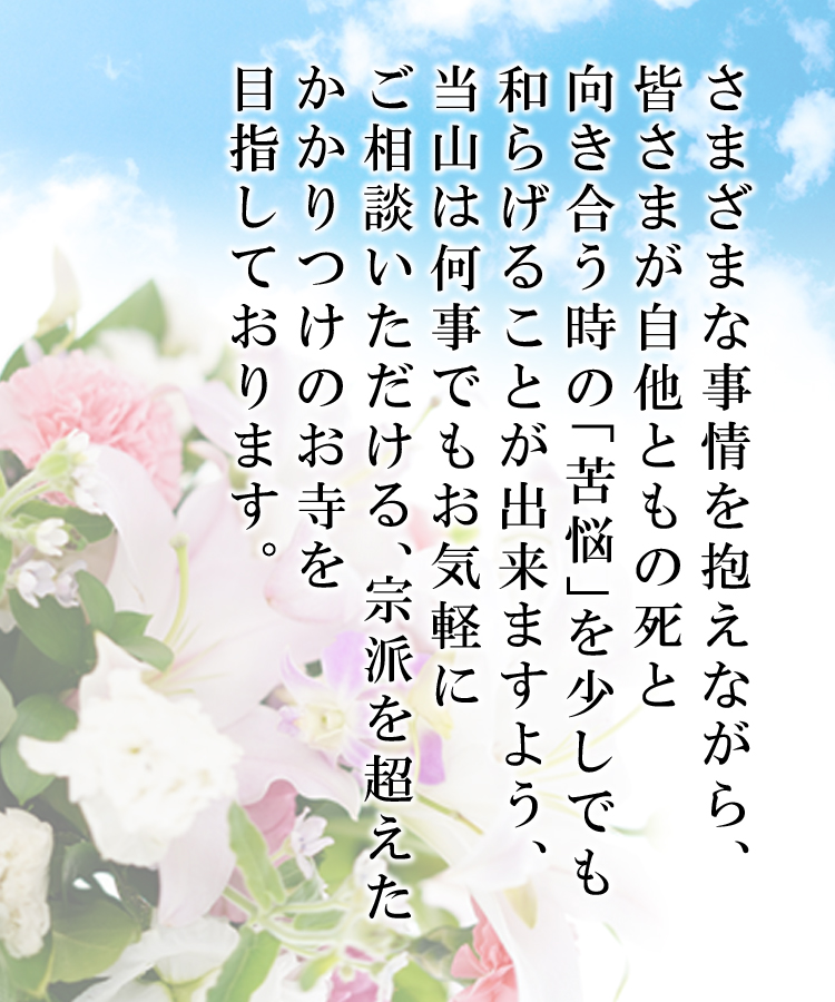 wp-image-206