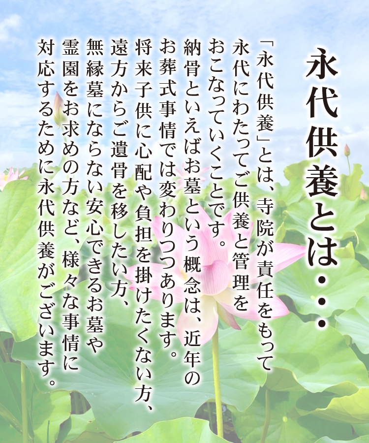 wp-image-206
