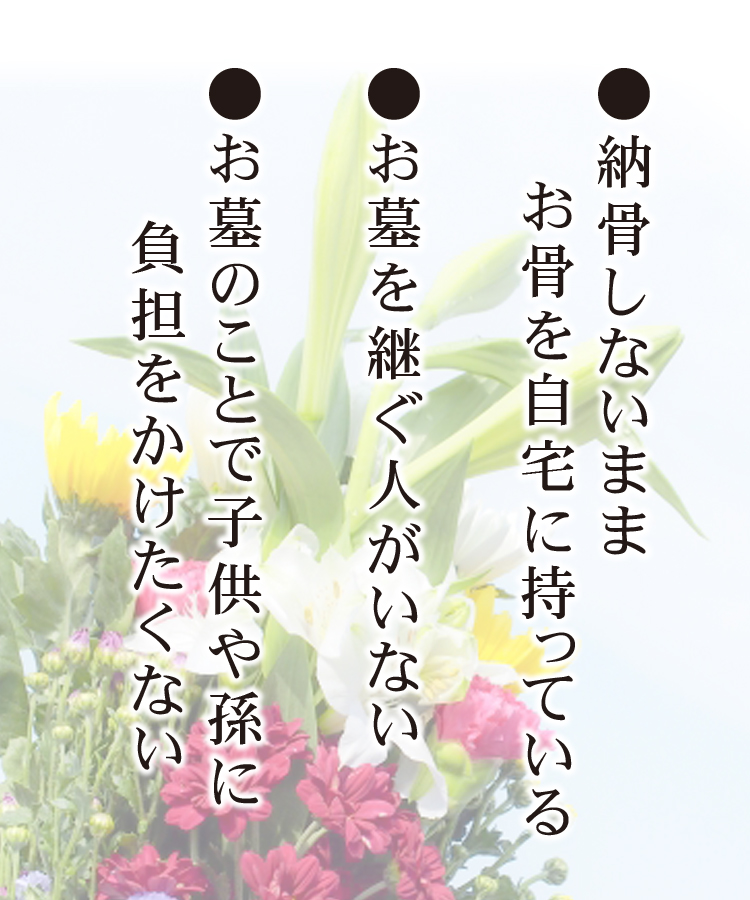 wp-image-206