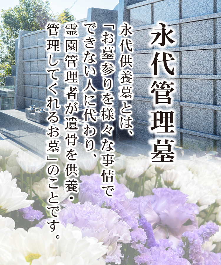 wp-image-206