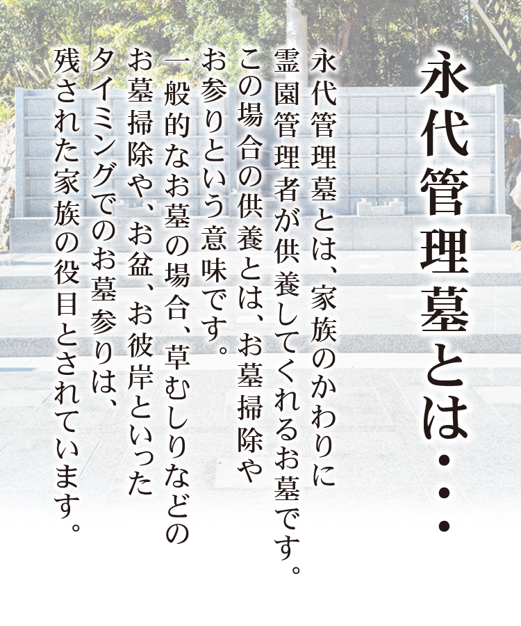 wp-image-206