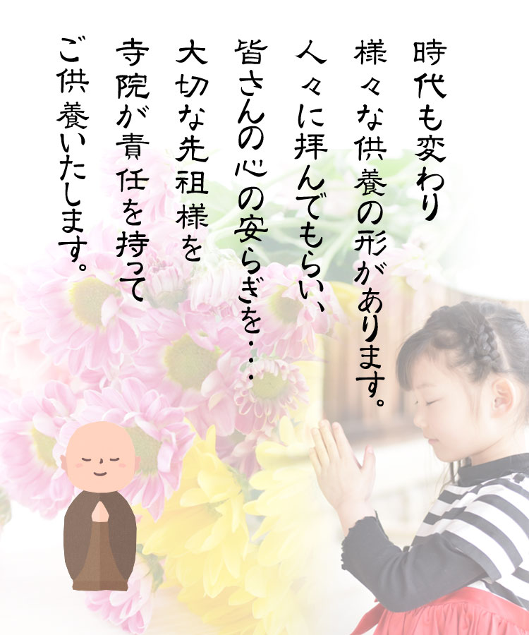 wp-image-206